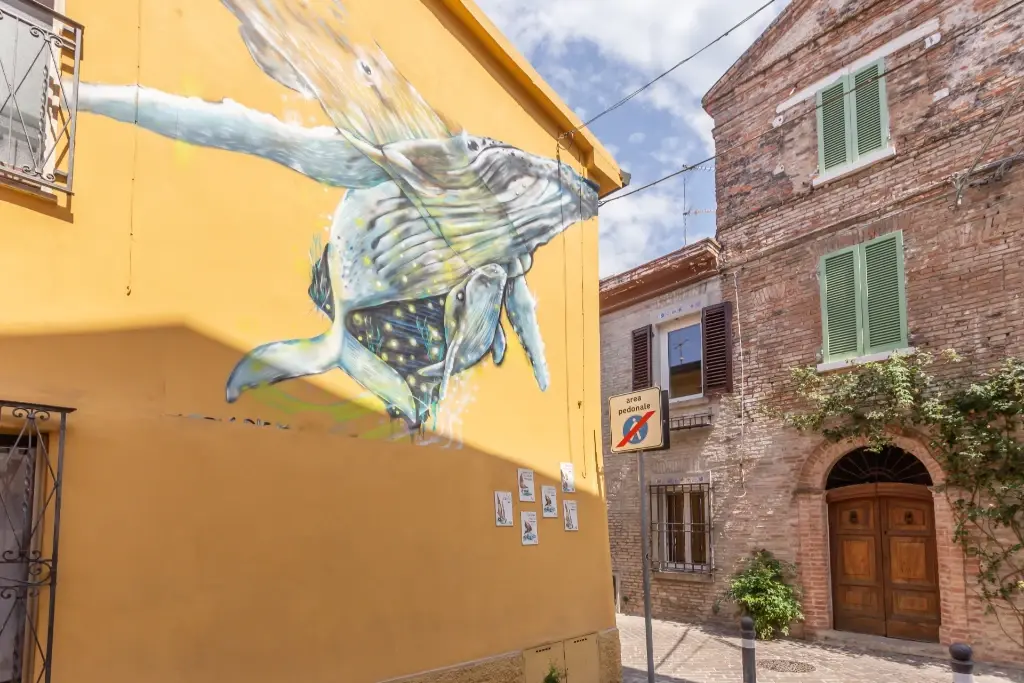 balena e balenottera