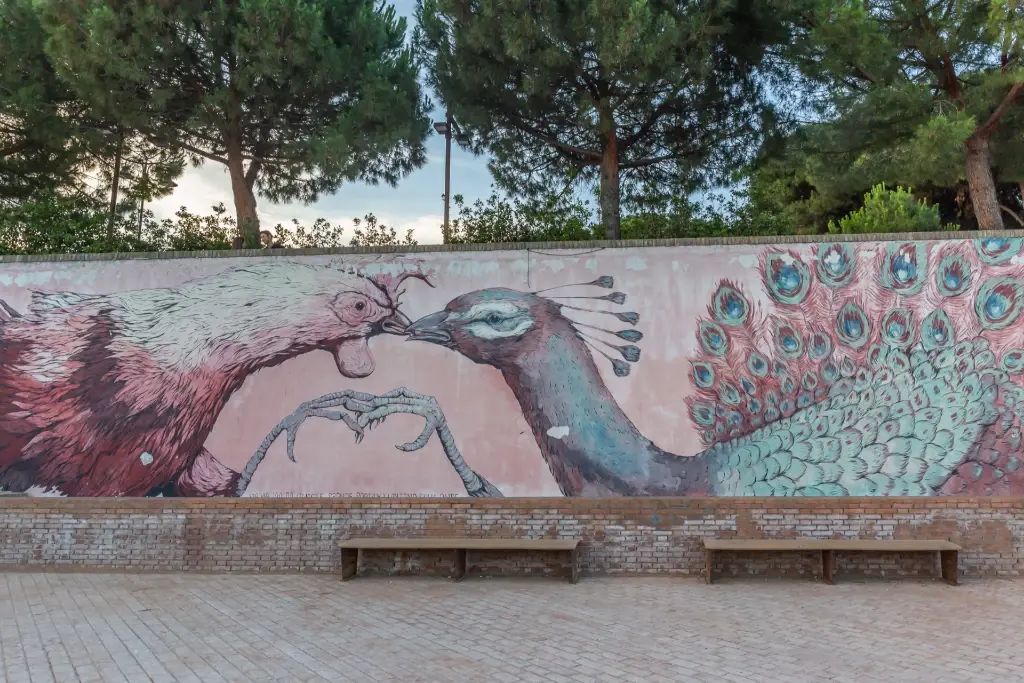 Il pavone sull'invaso